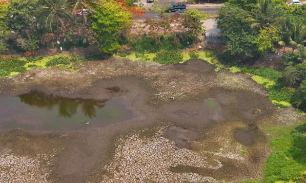 Estiaje pega a laguna de Lagartos en Veracruz; van por su rescate