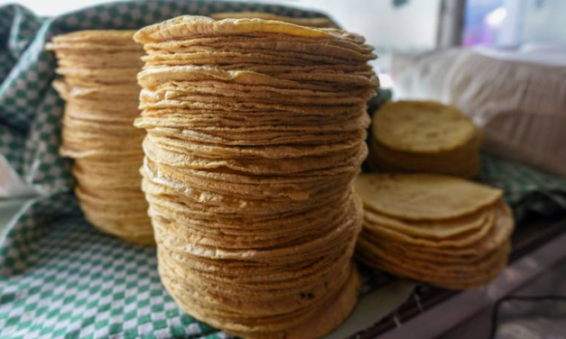 Aumentaría kilo de tortilla por alza en insumos y escasez de agua