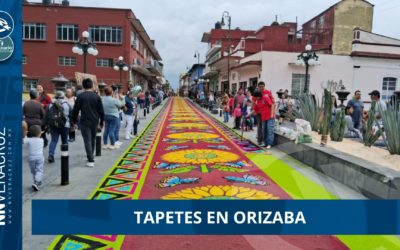 👉TAPETES MULTICORES EN ORIZABA