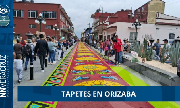 👉TAPETES MULTICORES EN ORIZABA