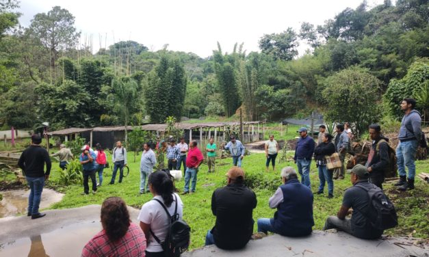 GOBIERNO MUNICIPAL DE IXHUATLAN DEL CAFÉ IMPULSA LA CONSTRUCCIÓN CON BAMBÚ PARA LA PRODUCCIÓN DE MOJARRA TILAPIA