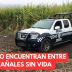 🚔LO ENCUENTRAN ENTRE CAÑALES SIN VIDA