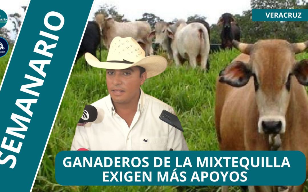 🐄GANADEROS DE LA MIXTEQUILLA EXIGEN APOYOS DEL GOBIERNO PARA INCREMENTAR SU PRODUCCIÓN