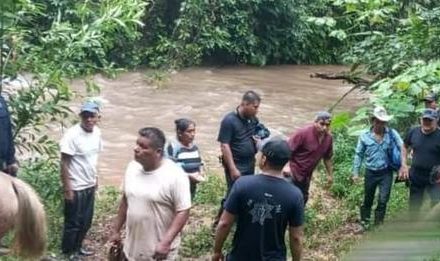 🚓CONFUNDEN A TAZOS DORADOS CON DELINCUENTES