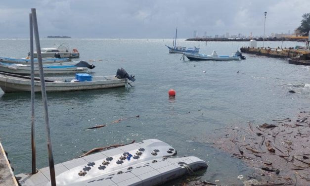 INCREMENTA A 5 LAS EMBARCACIONES HUNDIDAS EN EL MURO DE PESCADORES DE VERACRUZ