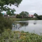 DESCUBREN CUERPO SIN VIDA EN LA LAGUNA ILUSIÓN EN EL PUERTO DE VERACRUZ