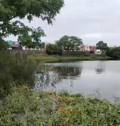 DESCUBREN CUERPO SIN VIDA EN LA LAGUNA ILUSIÓN EN EL PUERTO DE VERACRUZ