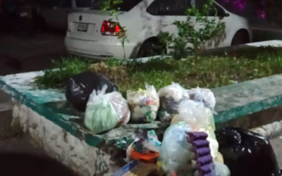 GATOS Y PERROS MUERTOS ABANDONAN EN MARTÍNEZ DE LA TORRE