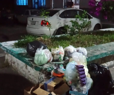 GATOS Y PERROS MUERTOS ABANDONAN EN MARTÍNEZ DE LA TORRE