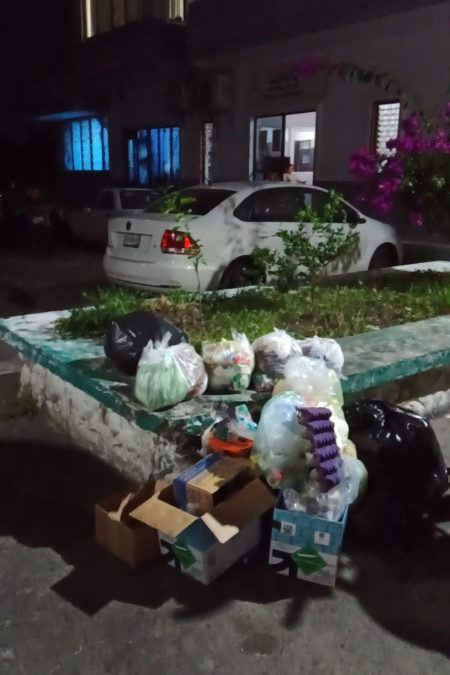 GATOS Y PERROS MUERTOS ABANDONAN EN MARTÍNEZ DE LA TORRE