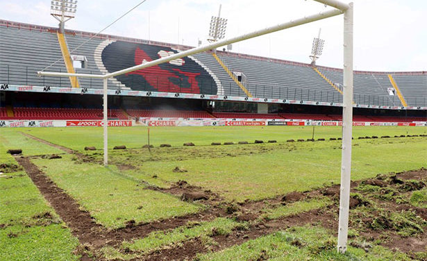 El Estadio Luis Pirata Fuente y el Proceso de Renovación del Césped