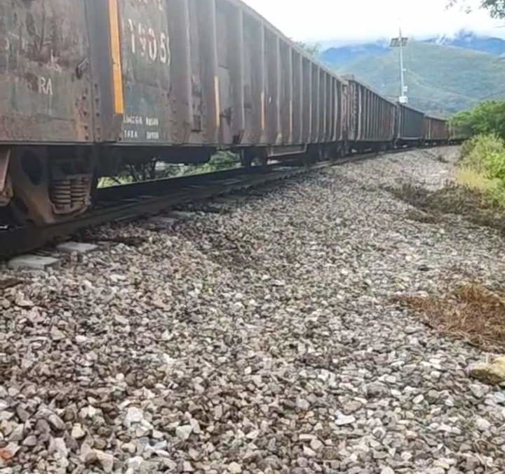 DESCARRILA «GUSANO DE ACERO» EN CIUDAD MENDOZA.