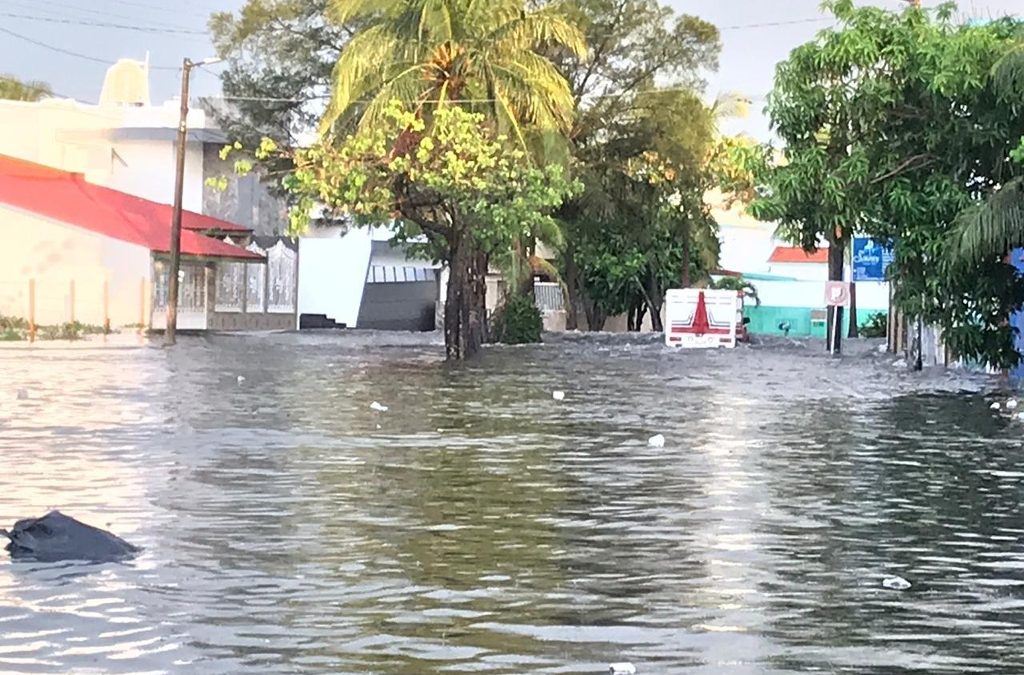 Inundaciones en La Floresta, Veracruz: Familias Afectadas Enfrentan una Situación Crítica