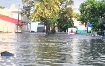 Inundaciones en La Floresta, Veracruz: Familias Afectadas Enfrentan una Situación Crítica