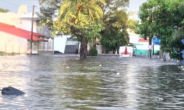 Inundaciones en La Floresta, Veracruz: Familias Afectadas Enfrentan una Situación Crítica