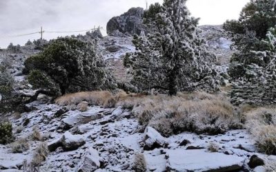 ⛈PROVEEN NEVADAS EN EL COFRE DE PEROTE