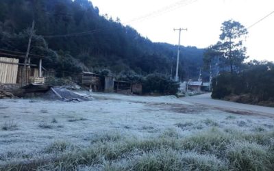 CAE HELADA EN TRES MUNICIPIOS DE LA ZONA DEL VOLCÁN