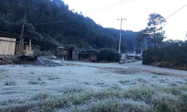 CAE HELADA EN TRES MUNICIPIOS DE LA ZONA DEL VOLCÁN