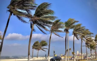 PARA ESTA SEMANA NORTE EN VERACRUZ