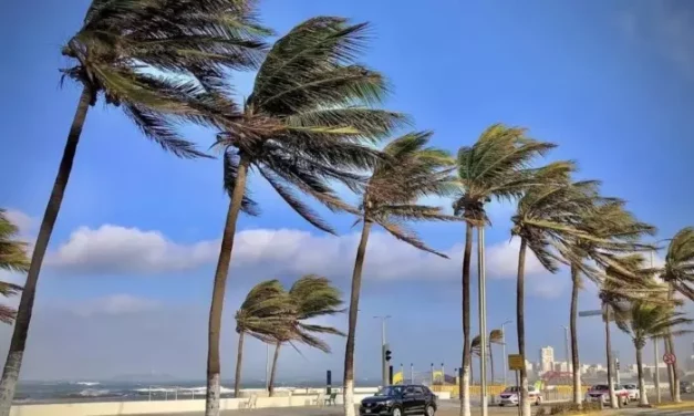 PARA ESTA SEMANA NORTE EN VERACRUZ