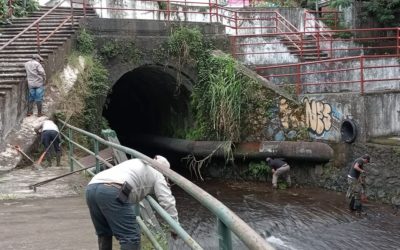 LIMPIEZA DE ANDADORES MARGINALES DEL RIO TAJALATE EN SAN ANDRES TUXTLA