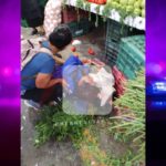 Privan de la vida a un hombre en el mercado de Camerino Z. Mendoza y una persona herida.